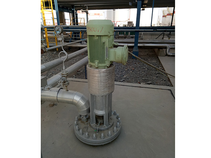 中石化塔河分公司小流量高扬程罐式安装的特种液下泵